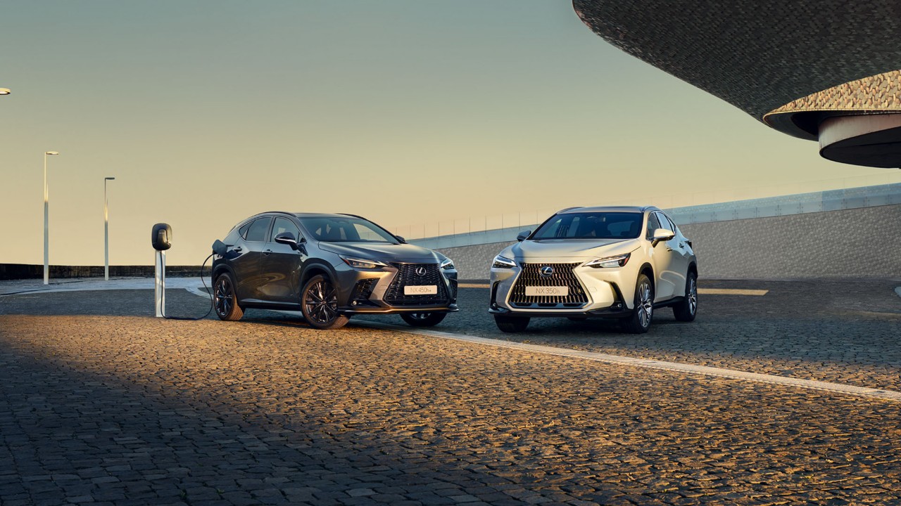 Lexus NX 350h and Lexus NX 450h+