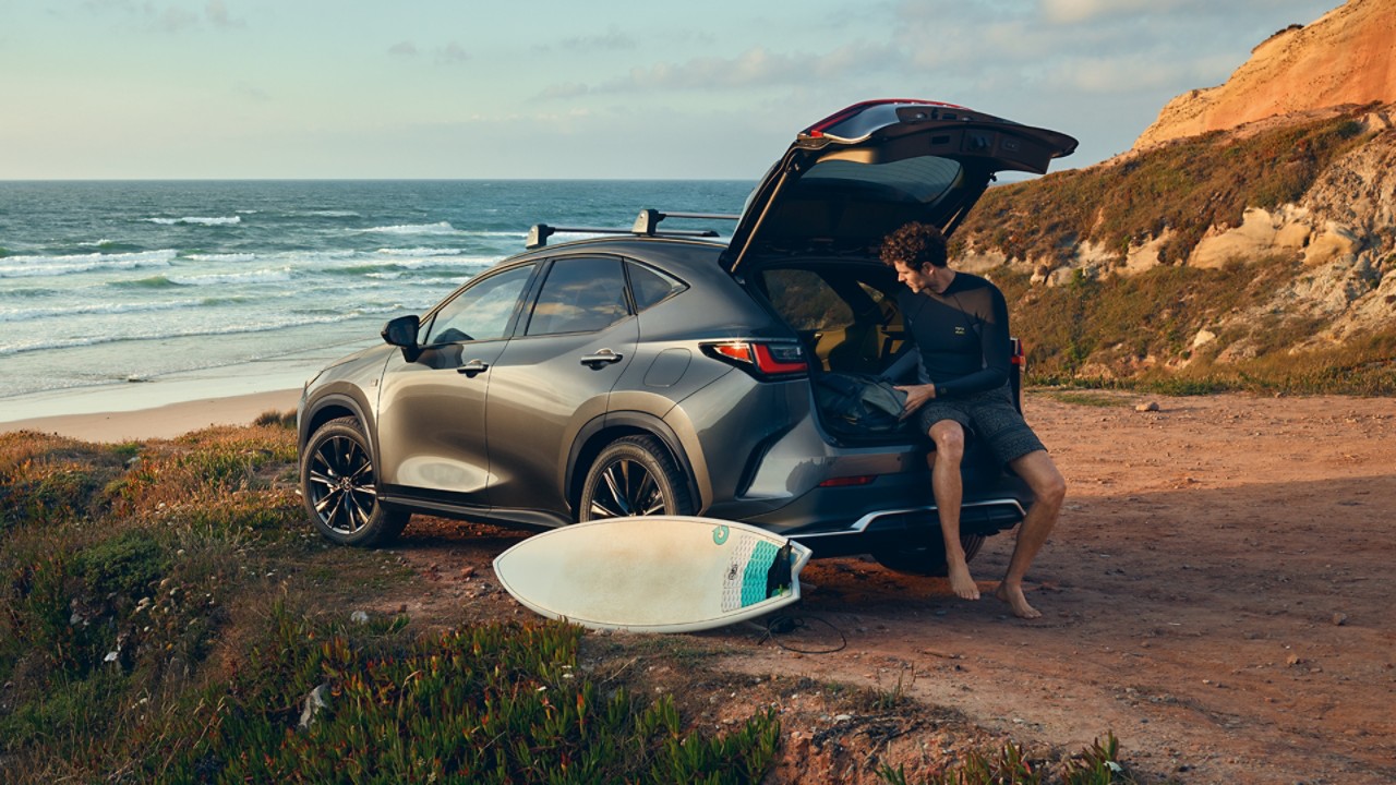 A person sitting in the boot of a Lexus near the beach