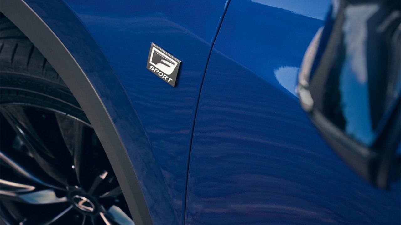 Close-up of a Lexus F Sport logo